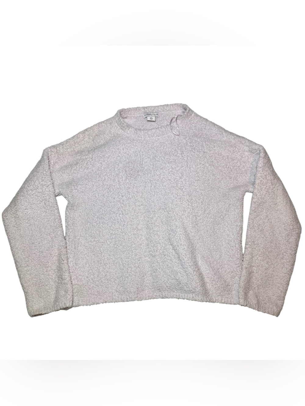 Sincerely Jules Crew Neck Oversized Crop Terry Sweatshirt